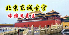 操逼视频看片中国北京-东城古宫旅游风景区